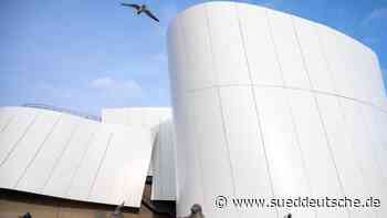 Museen - Stralsund - Neuer Wal und Haie für das Meeresmuseum - Kultur - Süddeutsche Zeitung