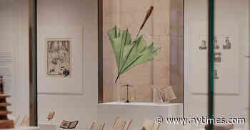 A Cabinet of Wonders Opens Wide