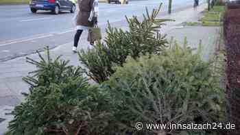 Hier könnt Ihr eure Christbäume im Landkreis Altötting entsorgen