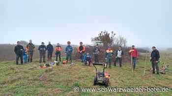 Neues Konzept: NABU pflegt Hecken auf der Vereinsfläche