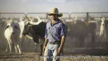 Mentoring program opens doors for Beetaloo Stockman Hugh Dawson - Queensland Country Life