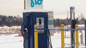 A wave of electric vehicles is coming at us. Are we ready?