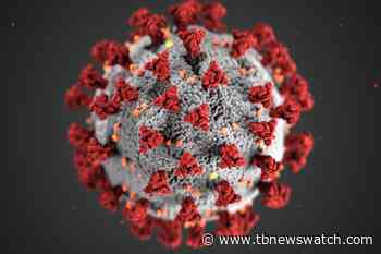 Omicron variant arrives in the Kenora and Dryden areas - Tbnewswatch.com