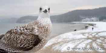 Kiel: So wird das Wetter am zweiten Weihnachtstag im Norden - Kieler Nachrichten