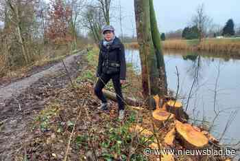 Verontwaardiging over onderhoud dijken Oude Dender: “Dit is een kaalslag”