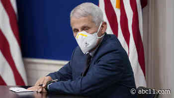 Fauci: US should consider COVID vaccine mandate for domestic air travel