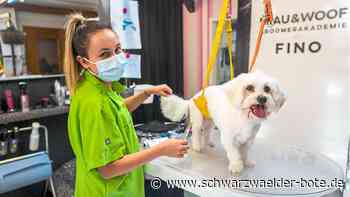 Serie Einblicke: Hundefriseur ist wahrlich kein "Duzi Duzi" Job