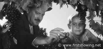 4K Re-Release of Algerian Drama 'The Olive Trees of Justice' Trailer