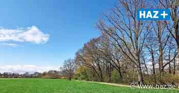 Hemmingen: Fahrradstraße Hohe Bünte wird wegen Bauarbeiten aufgehoben - Hannoversche Allgemeine