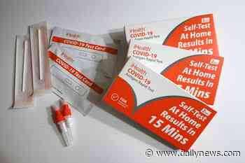 Rapid coronavirus tests: Are the at-home swabs picking up omicron? Experts say yes - LA Daily News