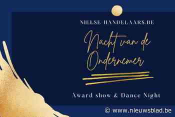 Stemmen voor Nielse Ondernemers Awards