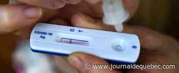 COVID-19: 12 833 nouveaux cas au Québec
