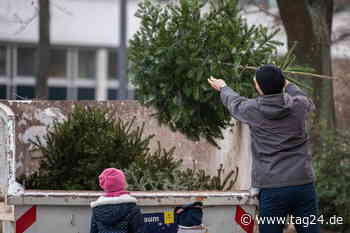 Das Fest ist um: Wo können in Dresden Weihnachtsbäume kostenlos abgegeben werden? - TAG24