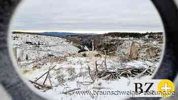 Wird der Harz zum Schaufenster der Klimakrise?