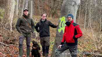 Kein Kahlschlag, sondern Waldumbau: So soll der Atteler Hang gesichert werden