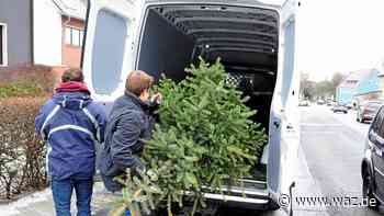 Johannis-Jugend sammelt Weihnachtsbäume in Witten ein - Westdeutsche Allgemeine Zeitung