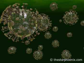 Omicron now dominant COVID-19 variant in Saskatoon, new wastewater data shows