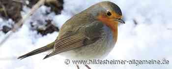 Info-Hotline für Naturliebhaber: NABU-Kreisverband Hildesheim nimmt gewachsenes Interesse an Natur wahr - www.hildesheimer-allgemeine.de