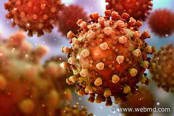 Coronavirus Can Spread to Heart, Brain Days After Infection - WebMD