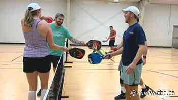 Pickleball a really big 'dill' in Calgary, across Alberta - CBC.ca