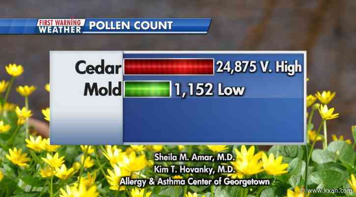 Cedar pollen soars to highest level so far as historic warm December continues