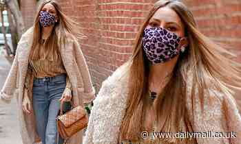 Sofia Vergara is the epitome of winter chic in a shearling coat while running errands in LA - Daily Mail