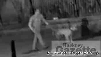Dog walker helped raped teen, 19, to call police in Hackney - Hackney Gazette