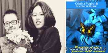 Colorno, esce Battito d'ali e poesie dell'anima, opera a quattro mani - OglioPoNews - OglioPoNews