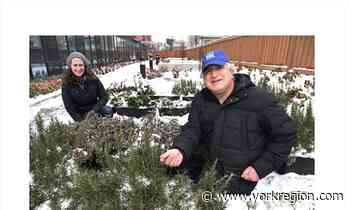 Community farms at Vaughan non-profit inspiring, shows people are thinking of food security - yorkregion.com
