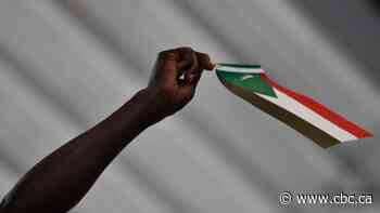 38 people killed after collapse at defunct mine in Sudan