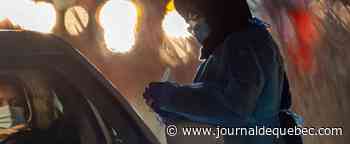 Les tests antigéniques moins sensibles à Omicron