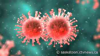 Omicron wastewater samples up 800% in Saskatoon