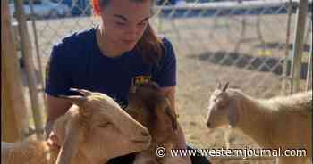 Man Makes Decision to Surrender Animals After Facing Over A Hundred Animal Abuse Charges