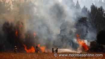 Some 179 forest fires affect central and southern Chile - The Rio Times