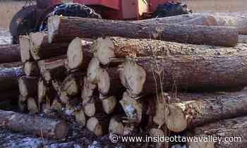 Kemptville Campus forest-thinning plans proceeding for first six weeks of new year - Ottawa Valley News