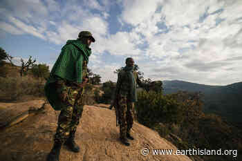 The Guardians of Mukogodo Forest - Earth Island Journal