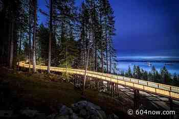 You Can Walk Through This New Elevated Forest Pathway In West Van This Season - 604 Now