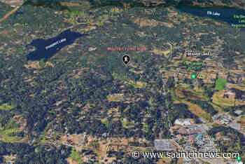 Saanich urban forest purchased as future parkland – Saanich News - Saanich News