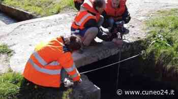 Servizio civile universale: anche due nuovi progetti della Provincia di Cuneo - Cuneo24