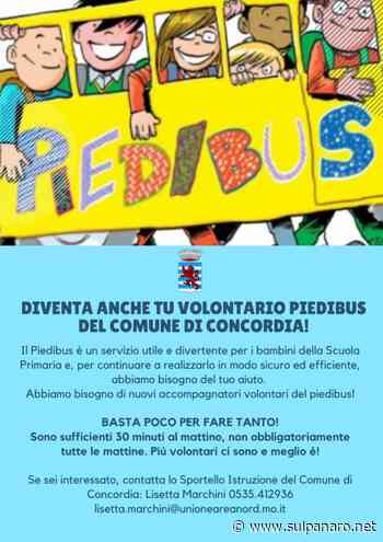 Concordia sulla Secchia, per raggiungere la scuola primaria c'è il piedibus - sulpanaro.net