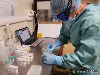 Covid: Cisl, rischio fermo produttivo per aumento contagi - Agenzia ANSA