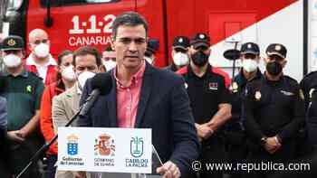 Sánchez vendiendo humo, sanchinfleando - Republica.com