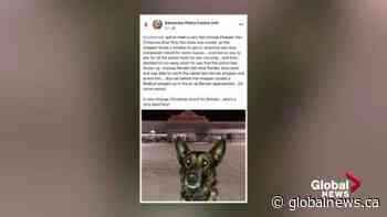 Edmonton police delete online post detailing K9 arrest
