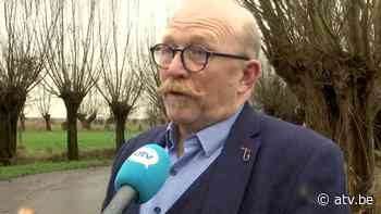 Burgemeester Stabroek over bescherming tegen wolven: "Zuhal, maak werk van de subsidiëring" - ATV