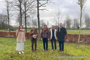 Zulte herdenkt overleden kinderen met Sterretjesweide en streepje kunst