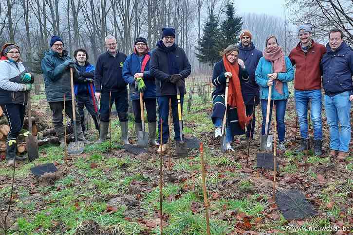 Natuurpunt realiseert nieuw bos aan Paddebroeken