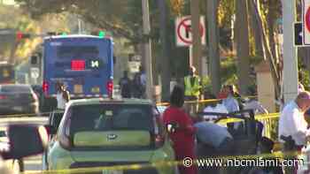 Man Arrested in Wilton Manors Hit-and-Run Crash that Killed 2 Children: BSO