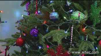 Ready to take down the tree? You can recycle it for free in Monroe County