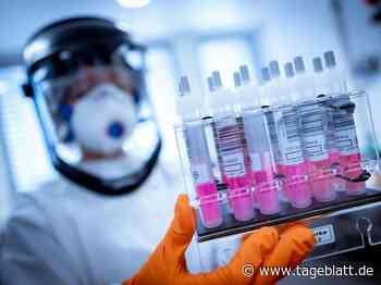 Drei Omikron-Verdachtsfälle im Landkreis: Erstes Ergebnis ist da - Stade - Tageblatt-online