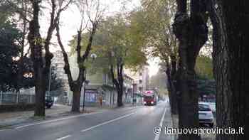 Canelli, si studia la "salute" delle alberate - La Nuova Provincia - Asti